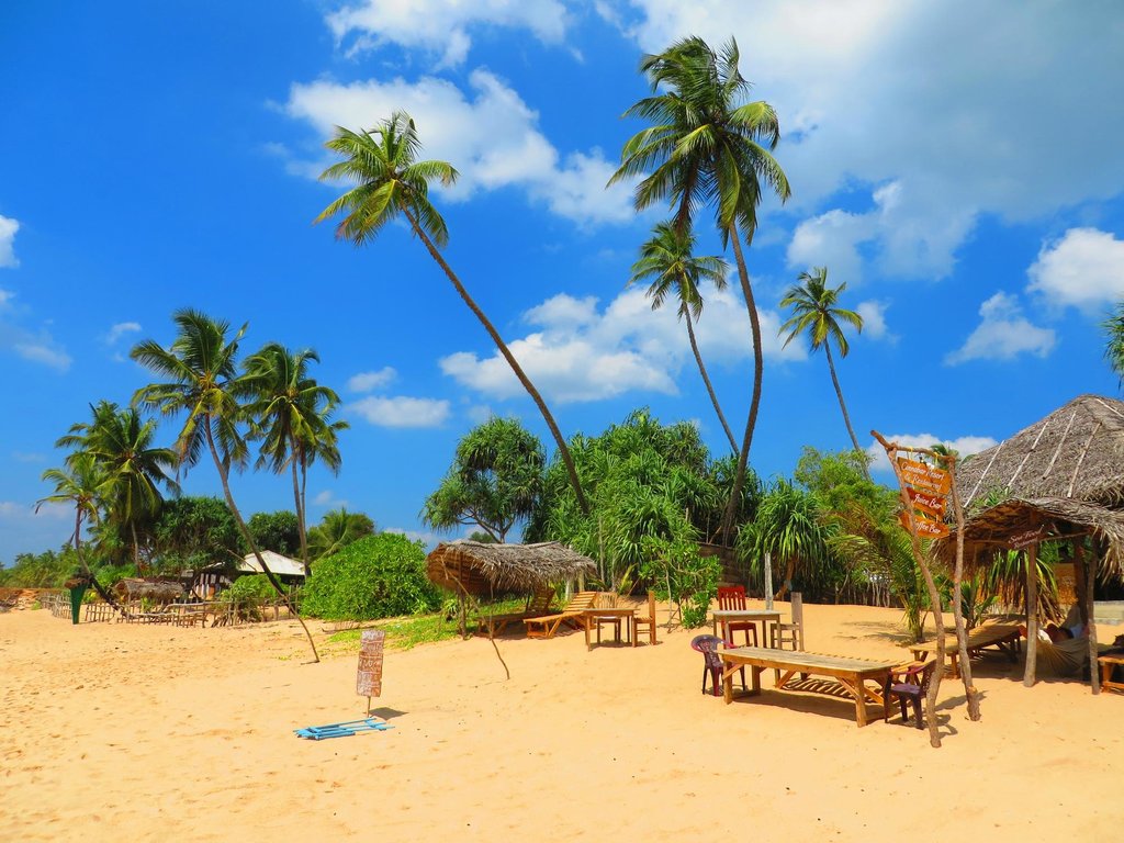 Cinnabar Resort|Beach Resort and Restaurant in Tangalle, Sri Lanka.|Popular  Choice for Travelers|Tree Houses in Tangalle|Marakolliya Beach